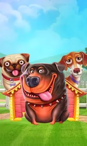 The Dog House